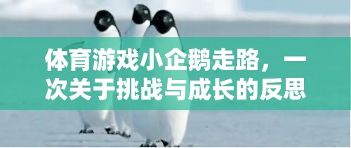 小企鵝的行走挑戰(zhàn)，一場關(guān)于勇氣與成長的體育游戲反思之旅