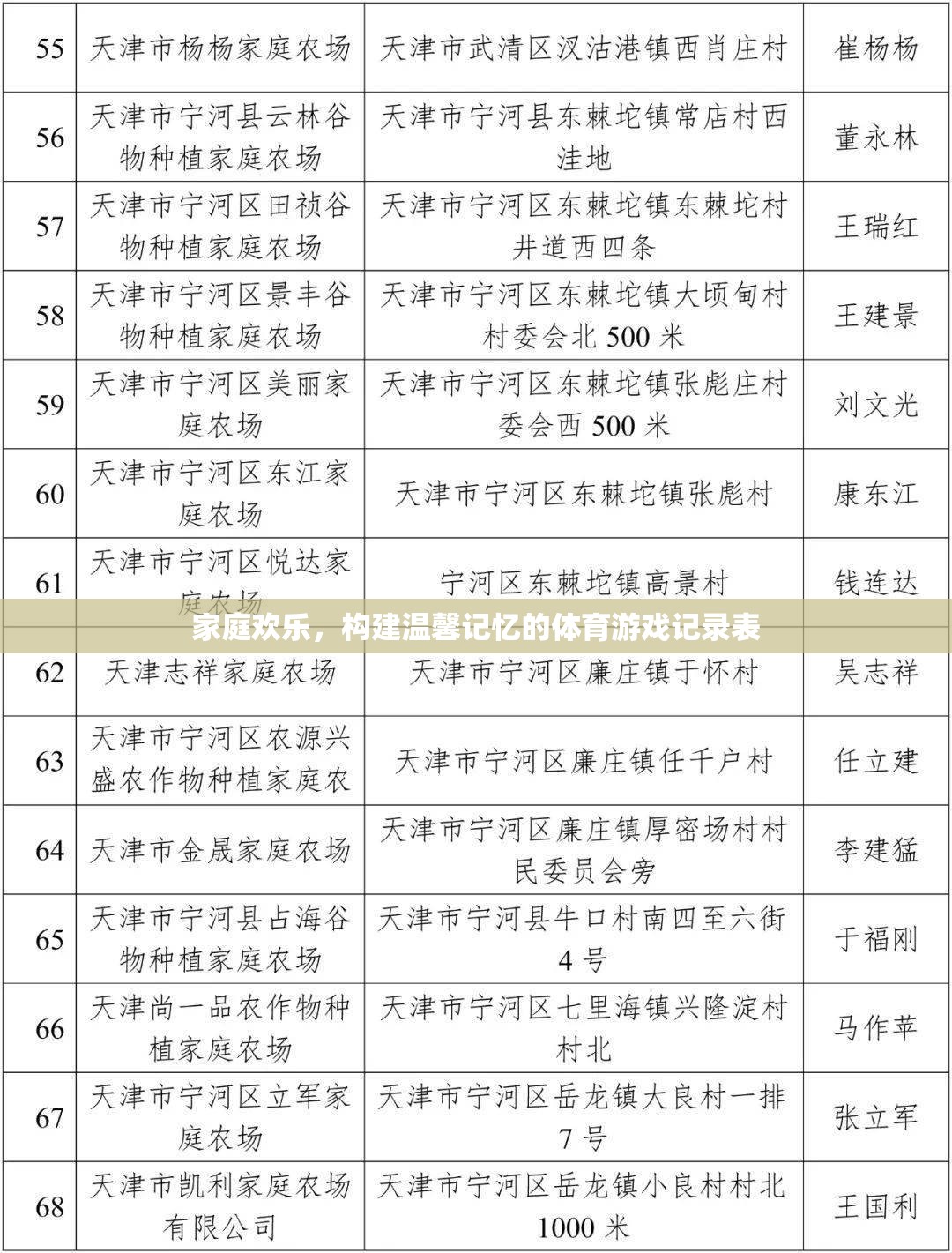 家庭歡樂(lè)，構(gòu)建溫馨記憶的體育游戲記錄表