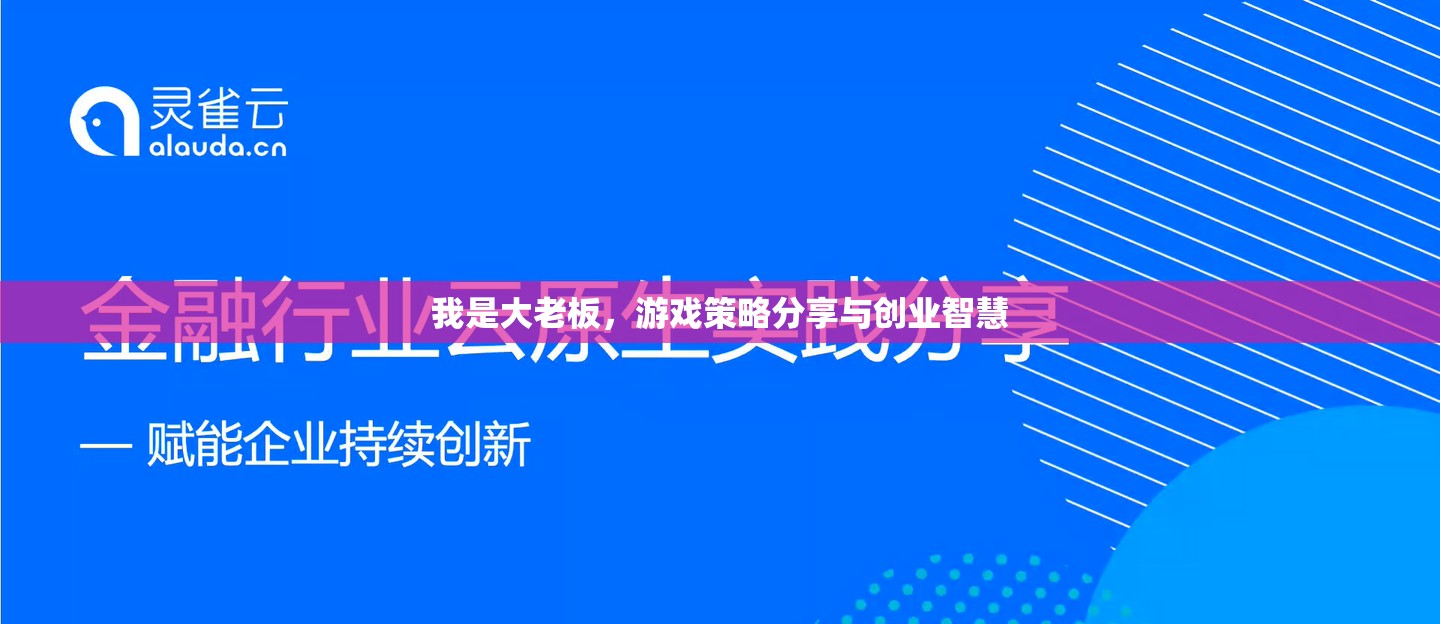 大老板的創(chuàng)業(yè)智慧，游戲策略與成功秘訣