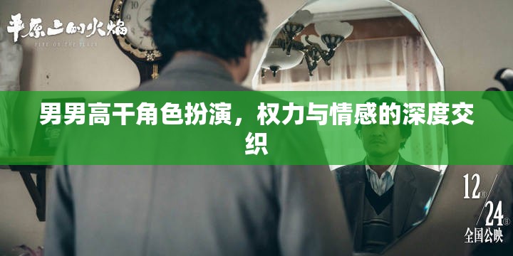 權(quán)力與情感的交織，男男高干角色扮演的深度探索