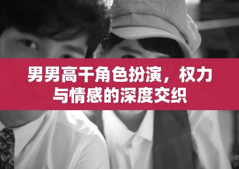 權(quán)力與情感的交織，男男高干角色扮演的深度探索