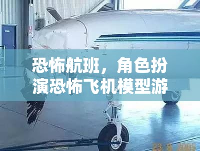 恐怖航班，沉浸式恐怖飛機(jī)模型游戲體驗(yàn)