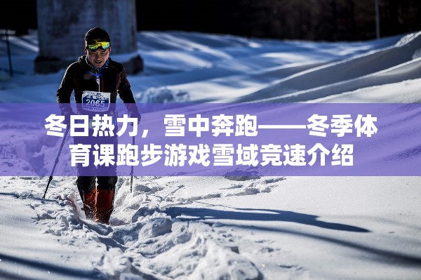 雪域競(jìng)速，冬日熱力下的雪中奔跑