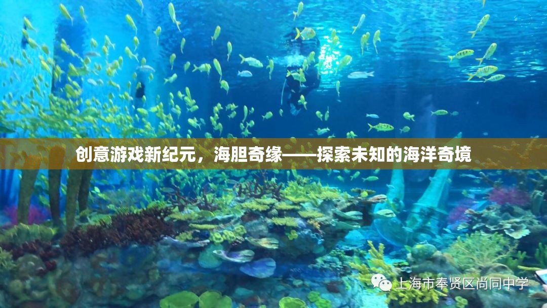 海膽奇緣，解鎖創(chuàng)意游戲新紀元，探索未知的海洋奇境