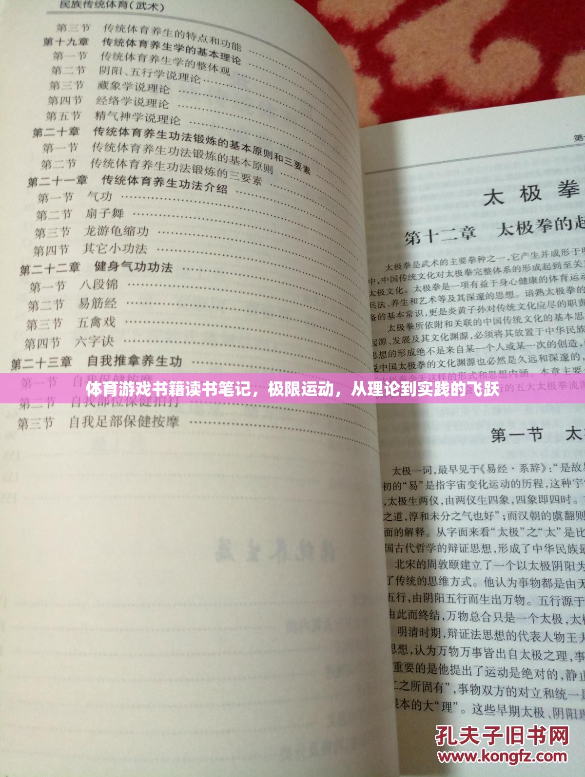 極限挑戰(zhàn)，體育游戲書籍中的理論與實(shí)踐飛躍