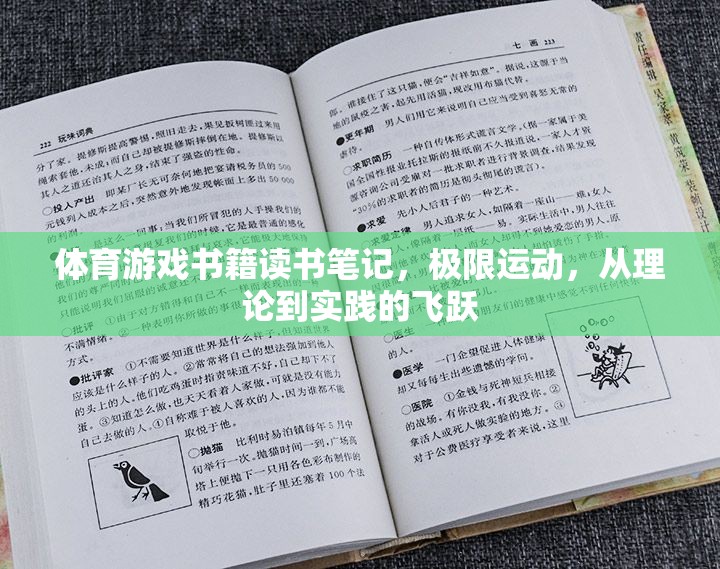 極限挑戰(zhàn)，體育游戲書(shū)籍中的理論與實(shí)踐飛躍