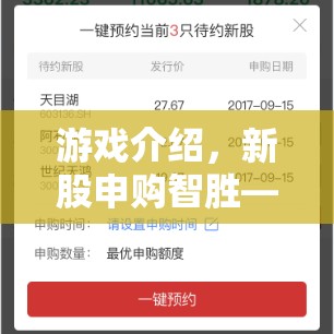 新股申購智勝，策略與運氣的精彩對決