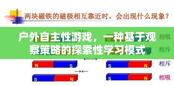 戶外自主性游戲，基于觀察策略的探索性學(xué)習(xí)模式