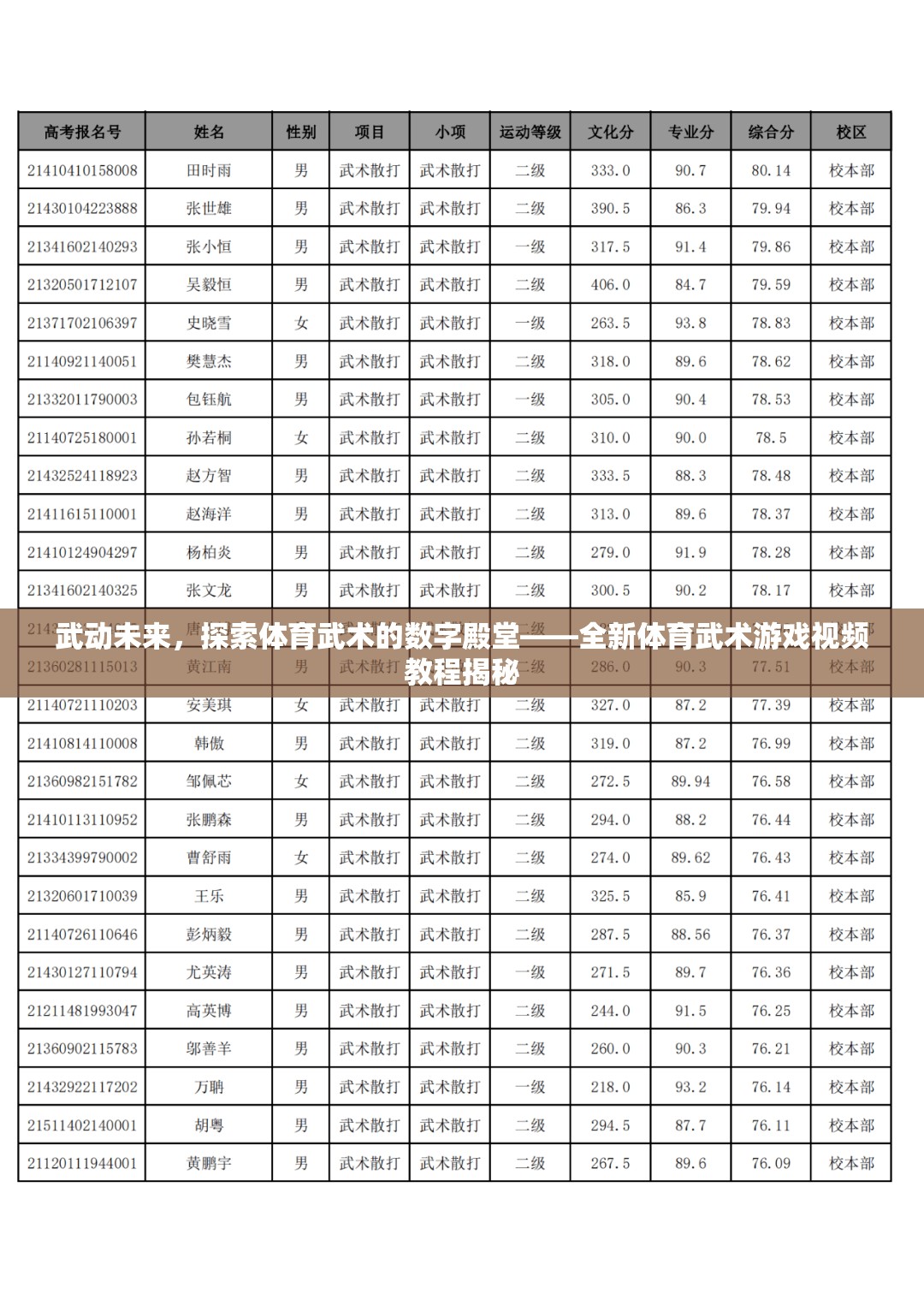 武動未來，探索體育武術的數(shù)字殿堂——全新體育武術游戲視頻教程揭秘