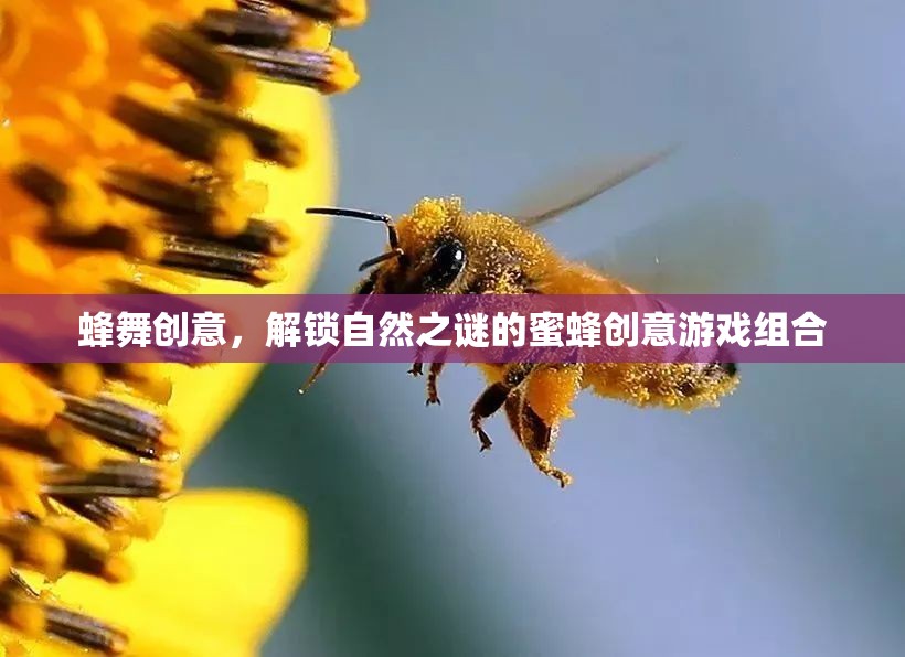 蜂舞創(chuàng)意，解鎖自然之謎的蜜蜂游戲組合