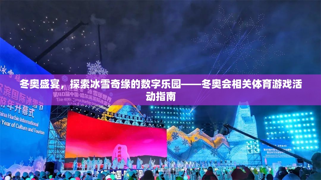 冰雪奇緣的數(shù)字樂園，冬奧會體育游戲活動指南