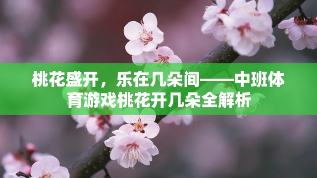 中班體育游戲桃花開幾朵，在桃花盛開中體驗(yàn)樂趣的全面解析