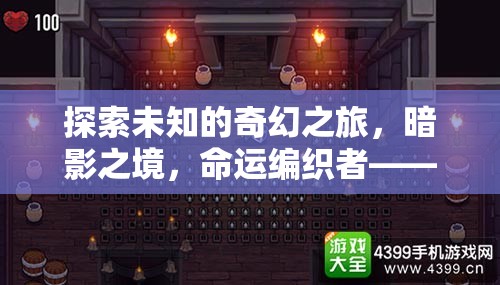 暗影之境，命運(yùn)編織者的奇幻之旅——深度RPG角色扮演游戲探索