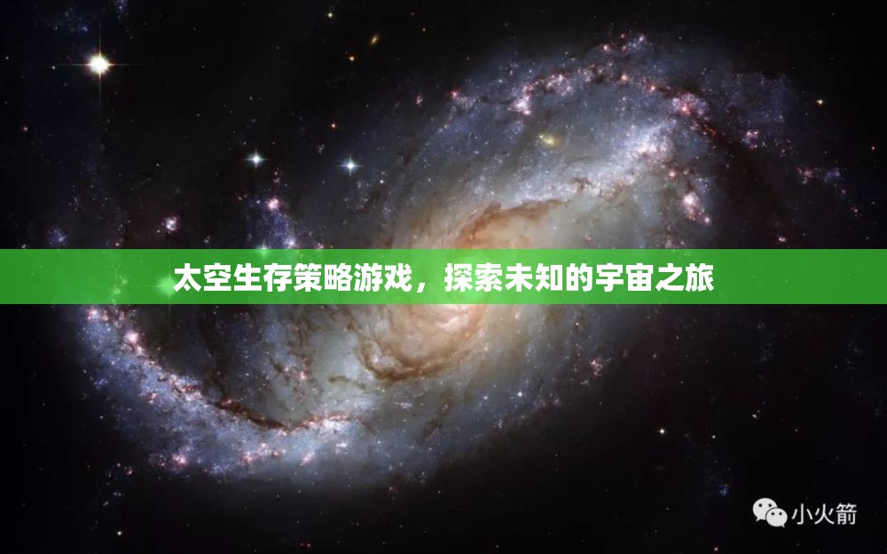 探索未知宇宙，太空生存策略游戲的冒險(xiǎn)之旅