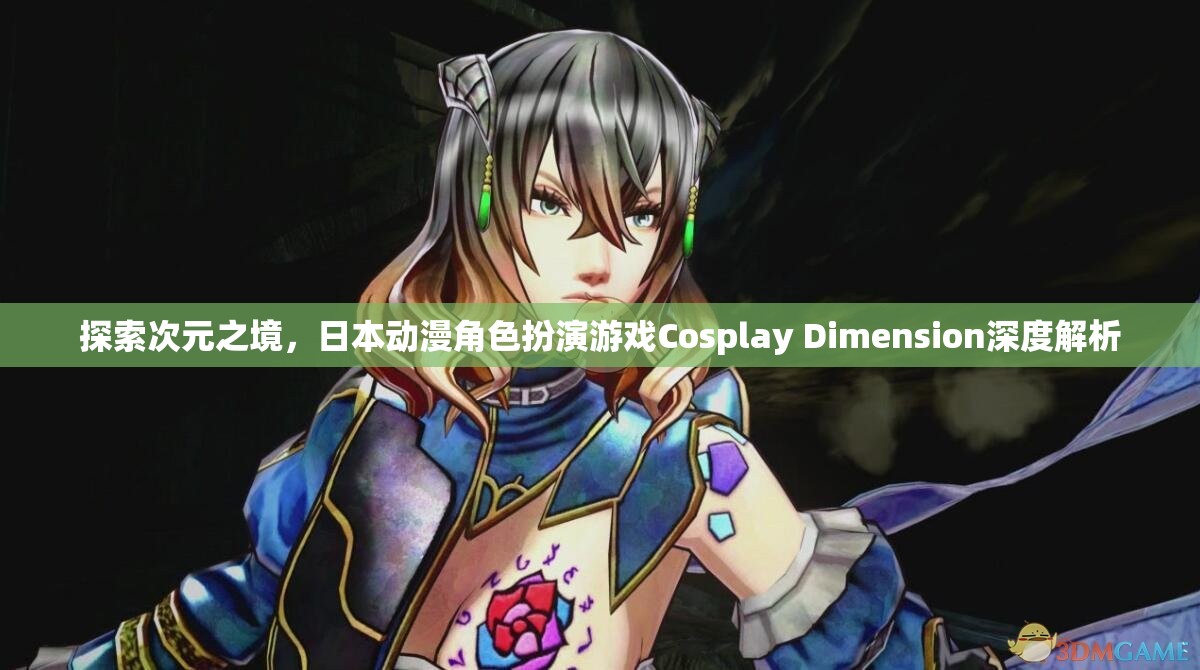 探索次元之境，日本動(dòng)漫角色扮演游戲Cosplay Dimension深度解析