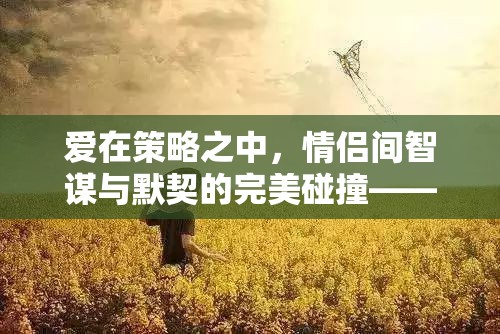 情謀天下，情侶間智謀與默契的完美碰撞