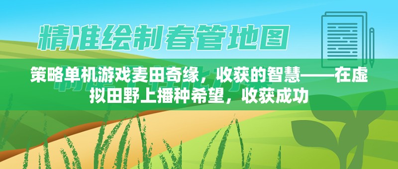 麥田奇緣，在虛擬田野上播種智慧，收獲成功