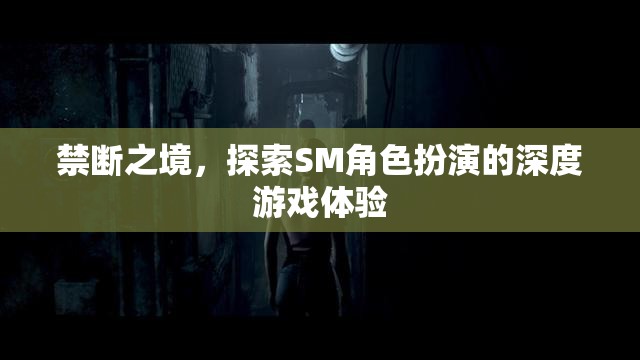 禁斷之境，解鎖SM角色扮演的深度游戲體驗(yàn)