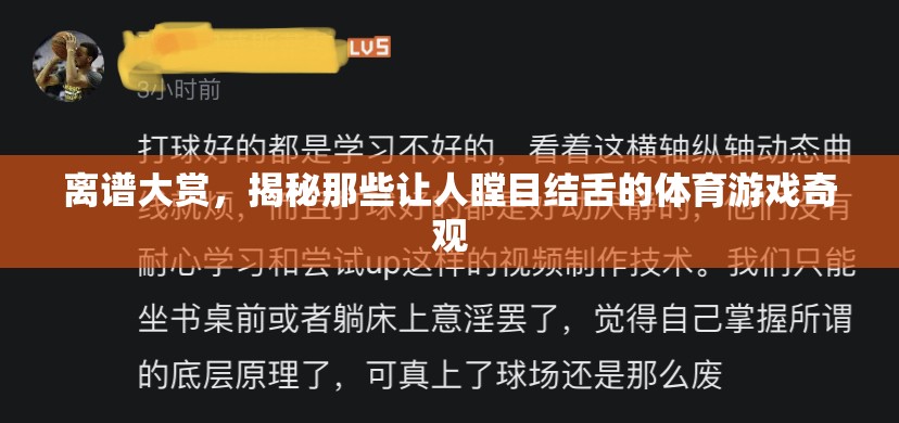 揭秘離譜大賞，體育游戲中的瞠目結(jié)舌奇觀