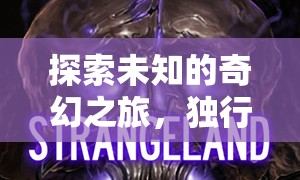 獨行者的暗影之境，探索未知的奇幻3D角色扮演游戲之旅