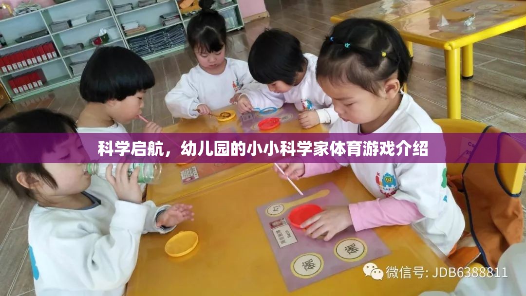 科學(xué)啟航，幼兒園小小科學(xué)家體育游戲探索