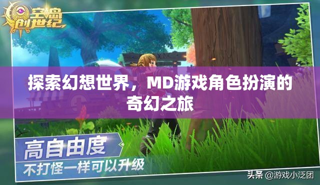 探索幻想世界，MD游戲角色扮演的奇幻之旅