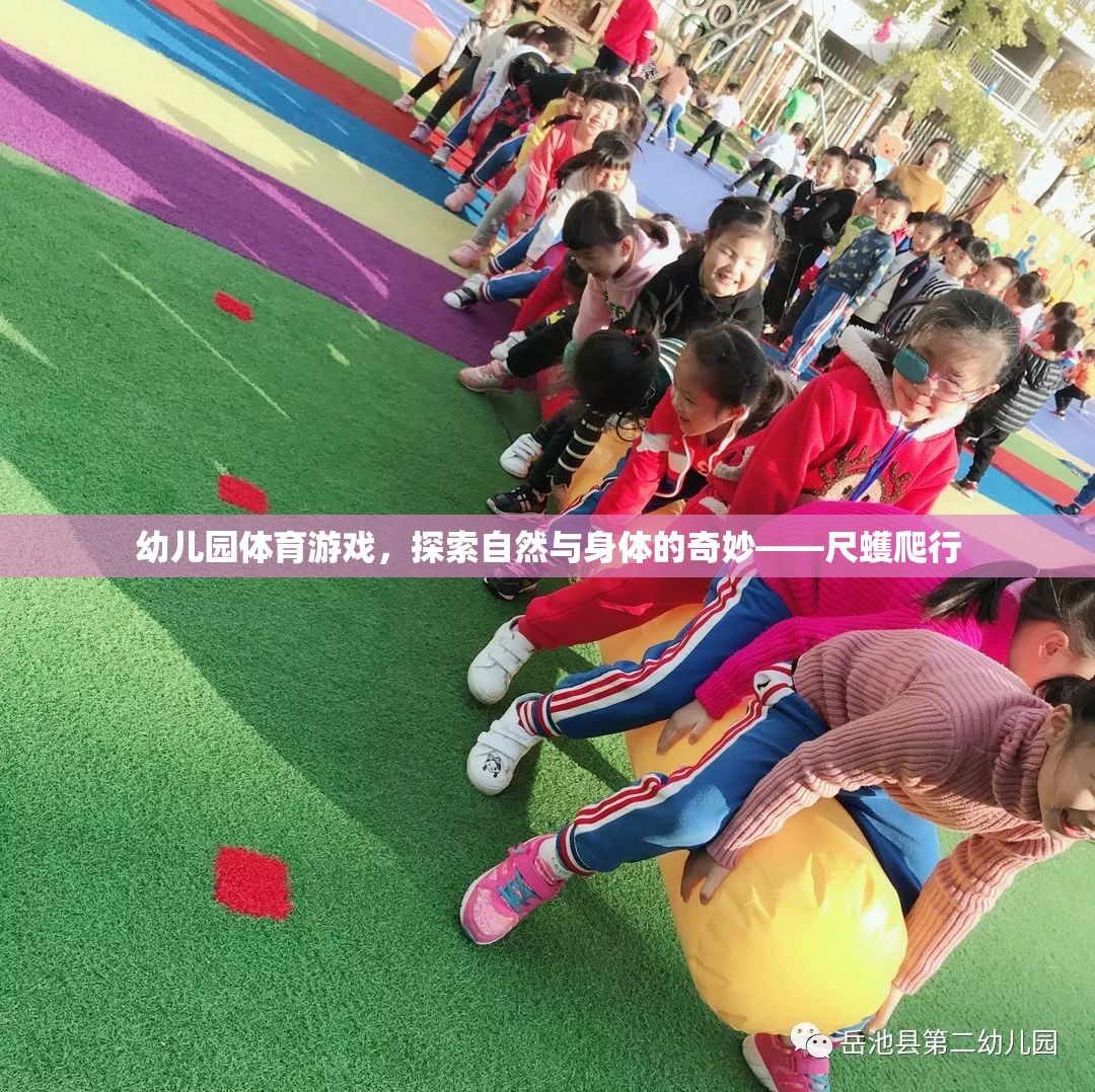 探索自然與身體的奇妙，幼兒園尺蠖爬行體育游戲