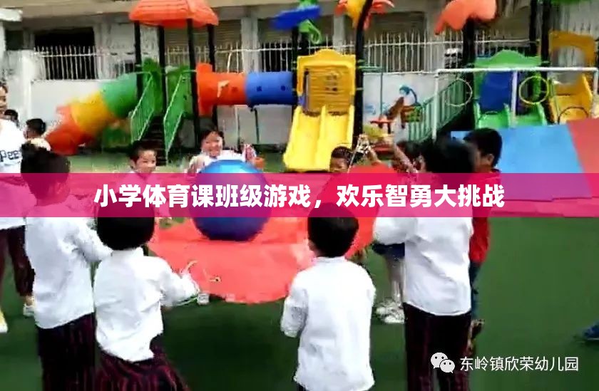 歡樂智勇大挑戰(zhàn)，小學體育課的班級游戲盛宴