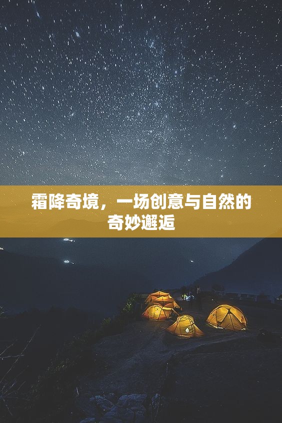 霜降奇境，創(chuàng)意與自然的夢(mèng)幻交融