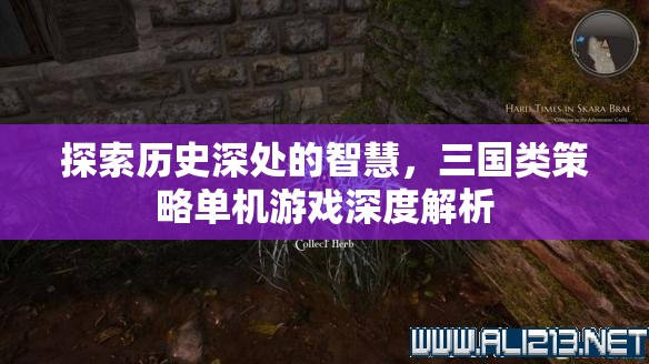 穿越歷史迷霧，三國(guó)類策略單機(jī)游戲的深度解析