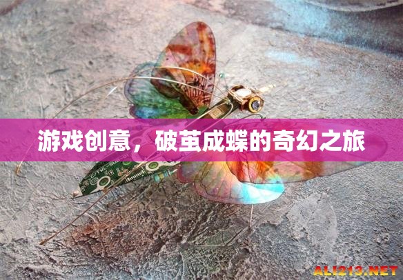 破繭成蝶，一場(chǎng)奇幻的冒險(xiǎn)游戲之旅