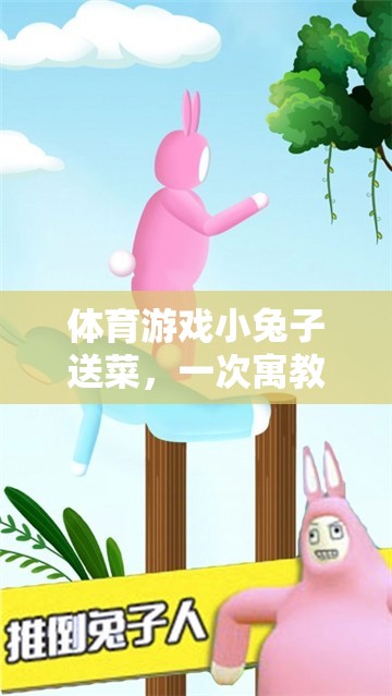 小兔子送菜，一次寓教于樂的體育游戲反思之旅