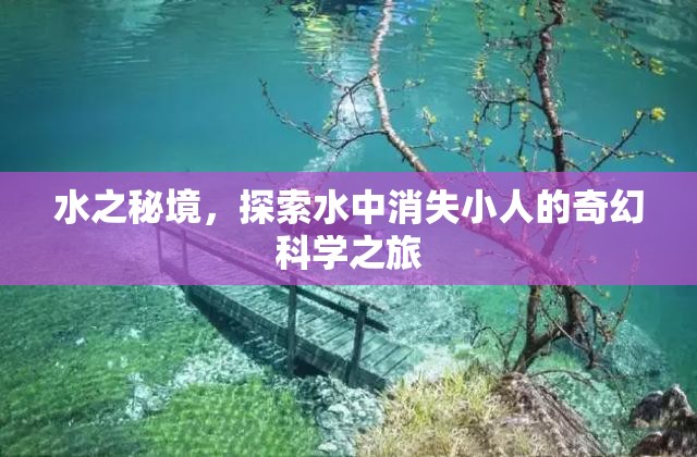 探索水之秘境，揭秘水中消失小人的奇幻科學(xué)之旅