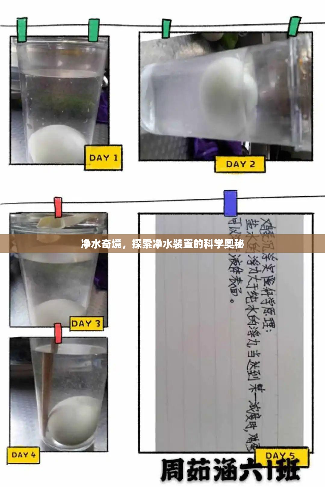 凈水奇境，揭秘凈水裝置的科學(xué)奧秘