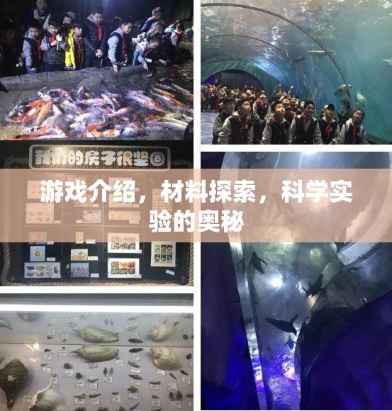 解鎖游戲中的科學(xué)奧秘，探索材料與實驗的奇幻之旅