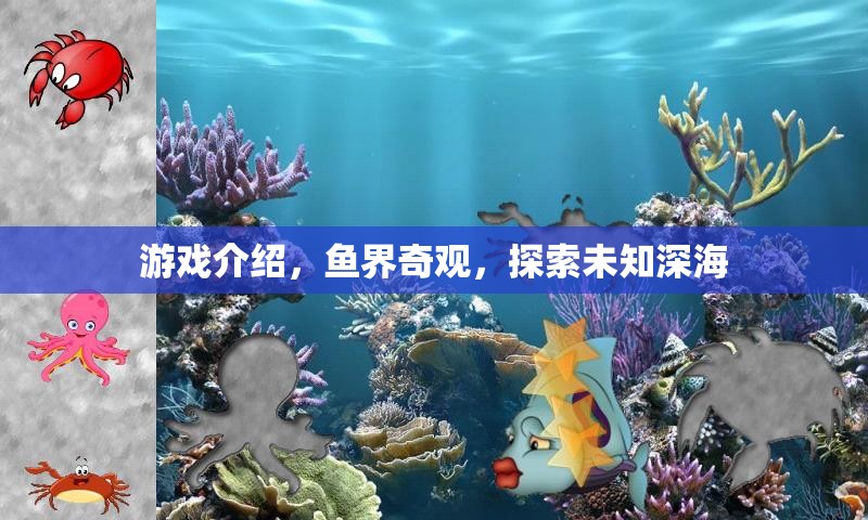 深海奇緣，探索未知的魚界奇觀