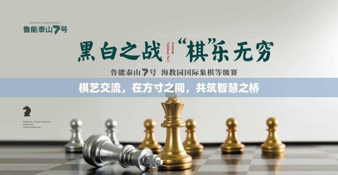 方寸之間，共筑智慧之橋，棋藝交流的魅力