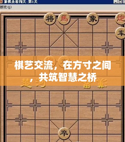 方寸之間，共筑智慧之橋，棋藝交流的魅力