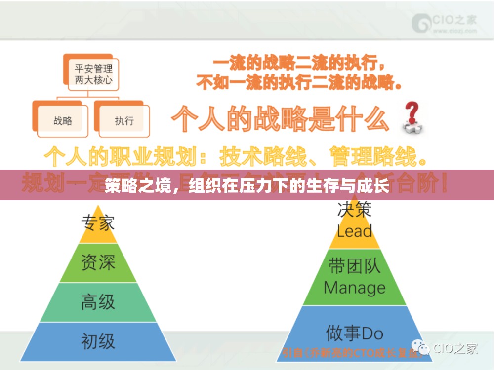策略之境，組織在壓力下的生存與成長