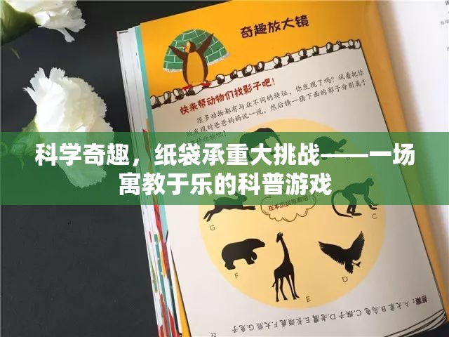 紙袋承重大挑戰(zhàn)，寓教于樂的科普游戲