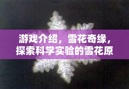 探索雪花之美，揭秘雪花奇緣中的科學(xué)實(shí)驗(yàn)