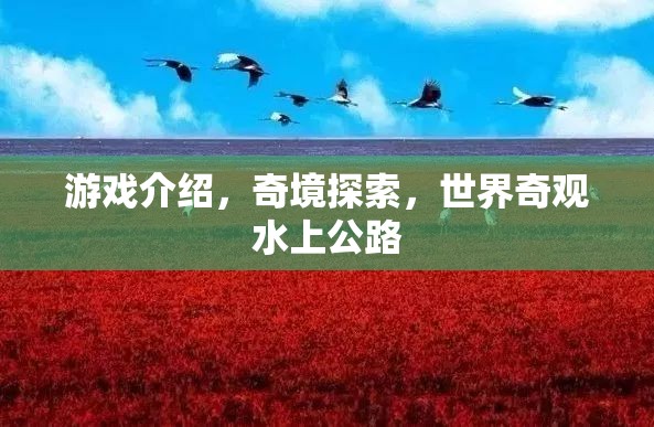 探索水上公路，奇境之旅的獨特體驗