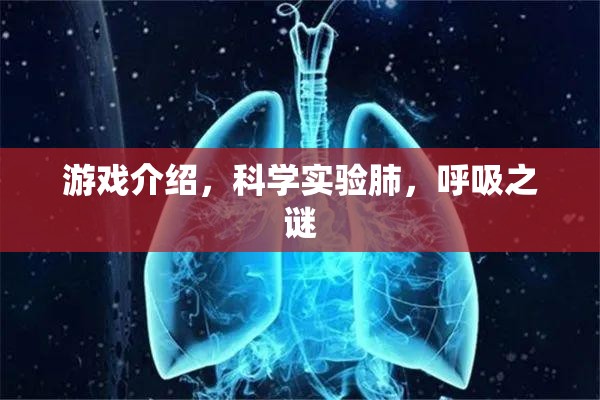 游戲介紹，科學(xué)實驗肺，呼吸之謎