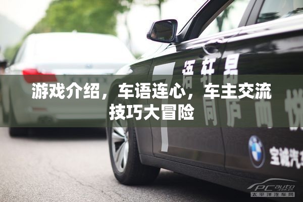 車(chē)語(yǔ)連心，車(chē)主交流技巧大冒險(xiǎn)的精彩游戲介紹