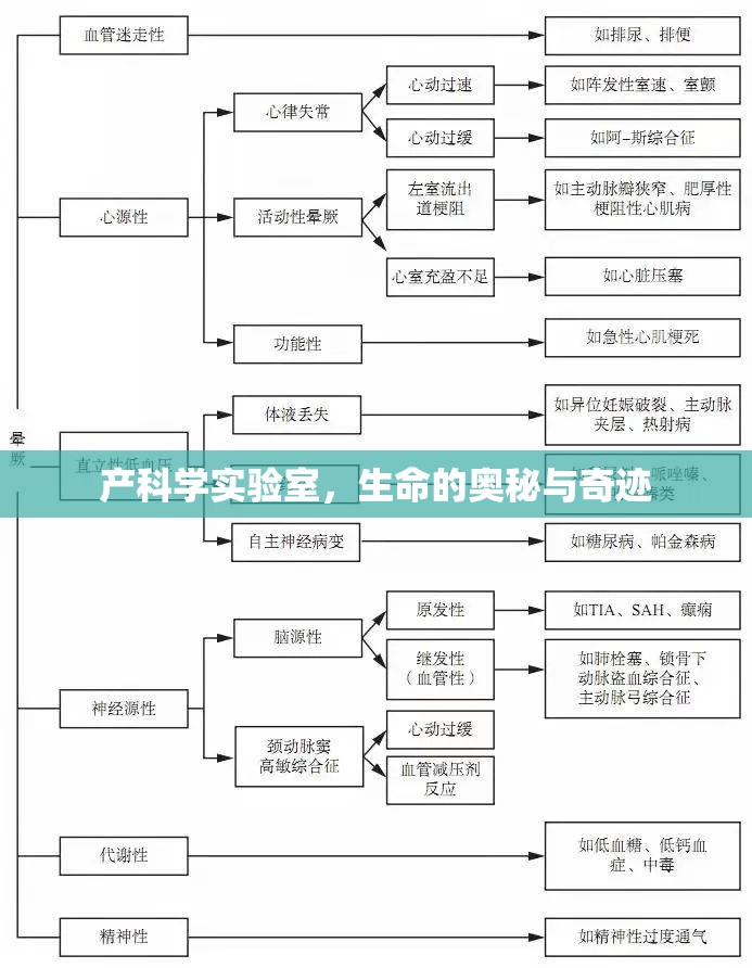 探索產(chǎn)科學(xué)實驗室，生命的奧秘與奇跡