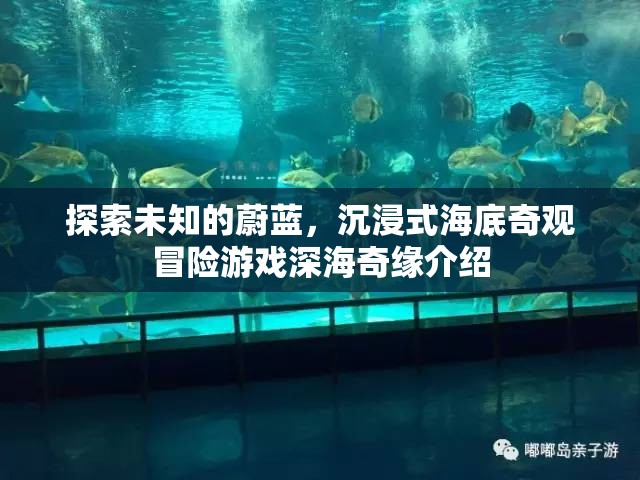 深海奇緣，探索未知的蔚藍，沉浸式海底奇觀冒險之旅