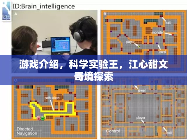 科學(xué)實(shí)驗(yàn)王，江心甜與文奇境的奇幻探索之旅