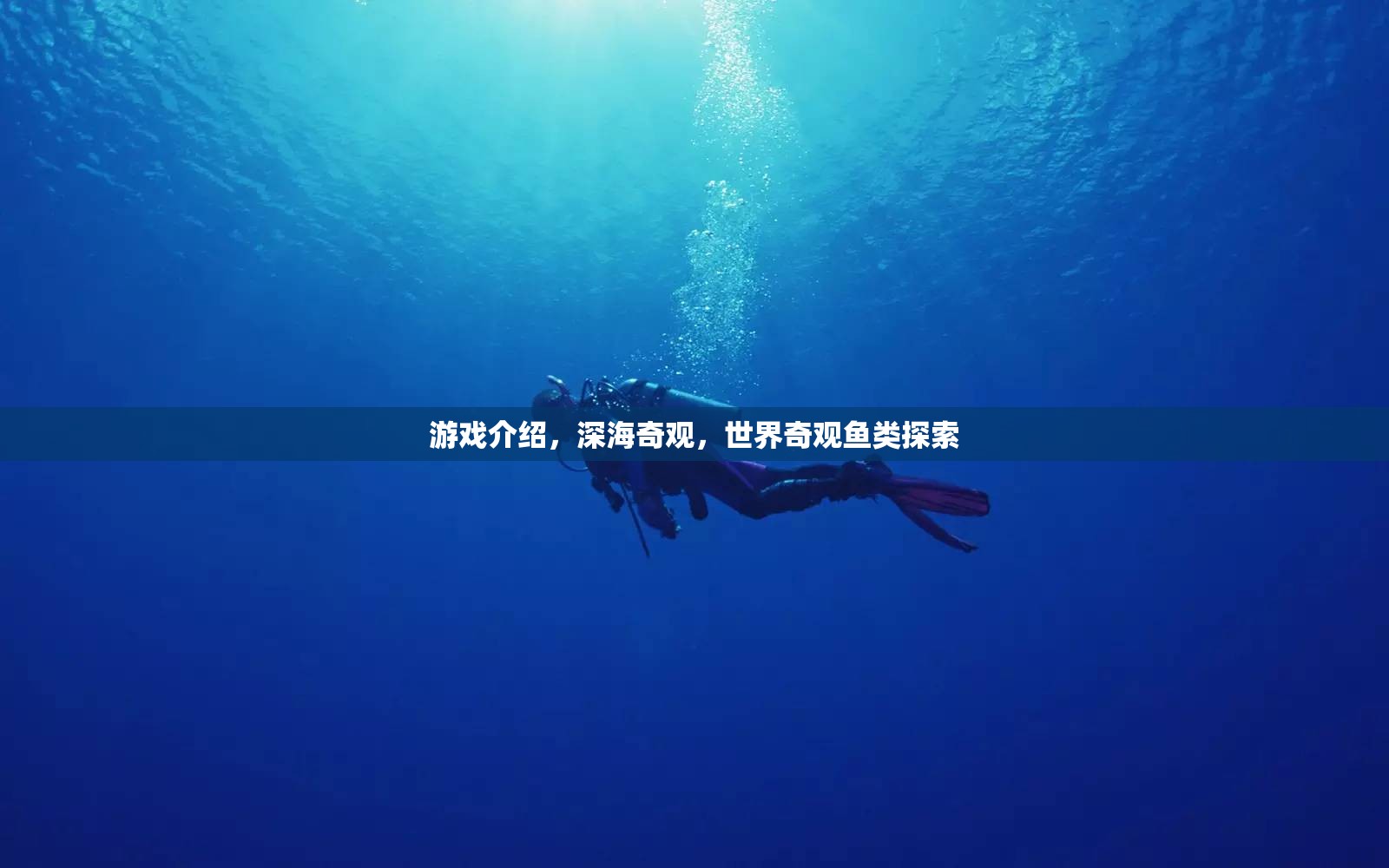 探索深海奇觀，揭秘世界奇觀魚類