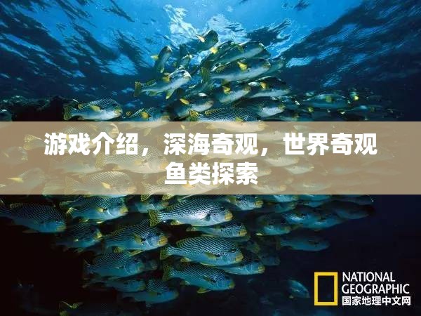 探索深海奇觀，揭秘世界奇觀魚類