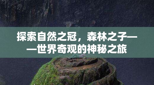 森林之子，探索自然之冠的神秘之旅